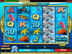 Dolphin Coast slots