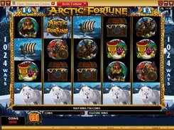Arctic Fortune slots