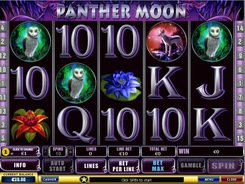 Panther Moon slots