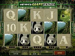 Untamed: Giant Panda